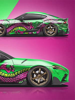 Chameleon Wraps
